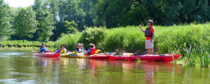 Kayak